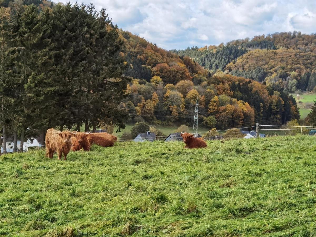 Ferienhaus Waldblick Hohenfels-Essingen Exterior foto